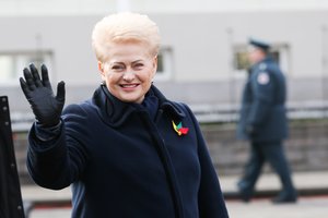 Įvertino D. Grybauskaitės vizitą į Lenkiją: „Tai yra skambus akordas dviejų kadencijų pabaigoje“