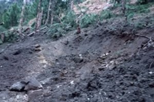 Indijos aviacija smogė kovotojams Pakistano administruojamoje Kašmyro dalyje