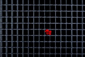 Rusijos teismas skyrė bausmes buvusiam FSB pareigūnui ir kibernetinio saugumo ekspertui