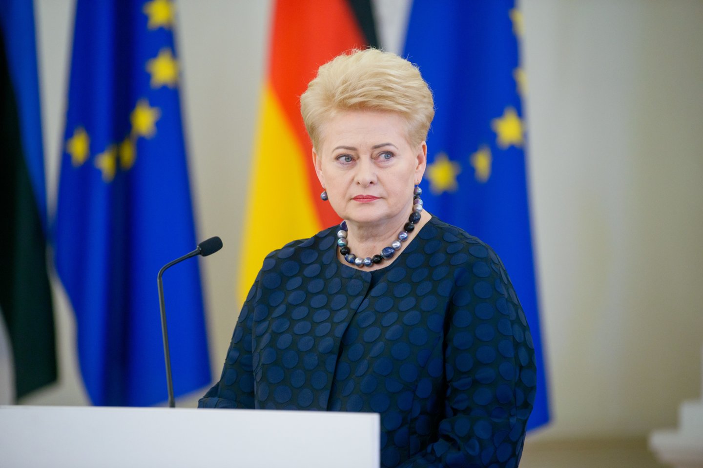 Prezidentė D.Grybauskaitė antrąją kadenciją baigs po kelių mėnesių, bet pirmieji paminklai jai, regis, jau renčiami.