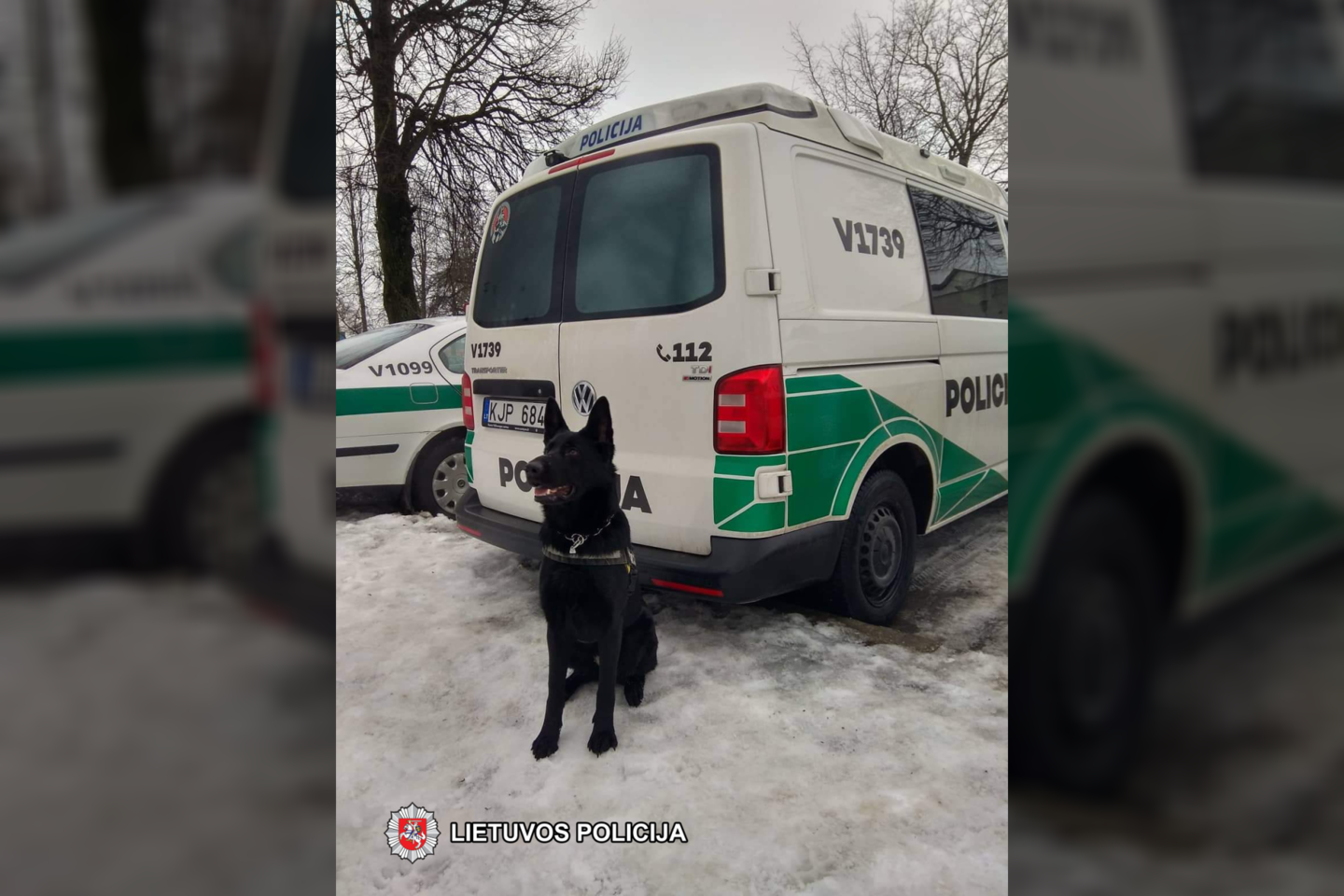 Tarnybinis policijos šuo Vilniuje aptiko automobilyje paslėptų narkotikų.