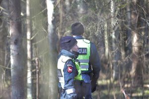 Tragedija Kupiškio rajone – medkirtys neišgirdo lemtingo šūksnio