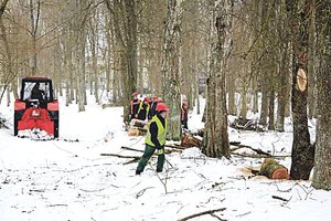 Už 6,5 mln. eurų Lietuvos pasienyje su Latvija išdygs įspūdingas parkas