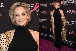 Jaunatviškas Sharon Stone įvaizdis verčia dvejoti dėl jos tikrojo amžiaus