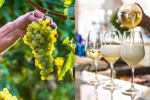 Putojančio itališko gėrimo mėgėjams – smūgis dėl milžiniškos žalos gamtai