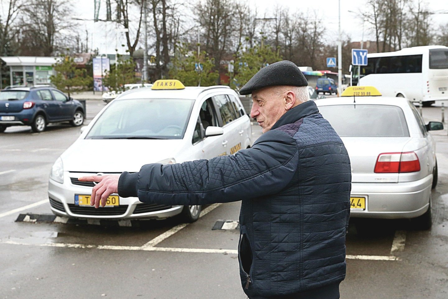 Taksisto Viktoro nuomone, žiurkės į stotį atkeliavo kartu su pušimis, pasodintomis į vazonus, į kuriuos pripilta pjuvenų. Juose graužikai susirado namus.<br>R.Danisevičiaus nuotr.