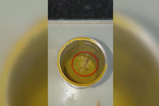 Vegetarė net nenutuokė, kuo pagardinta jos sriuba – merginą ištiko šokas