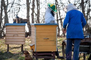 Laukia paraiškų – dalina paramą trumpoms tiekimo grandinėms skatinti
