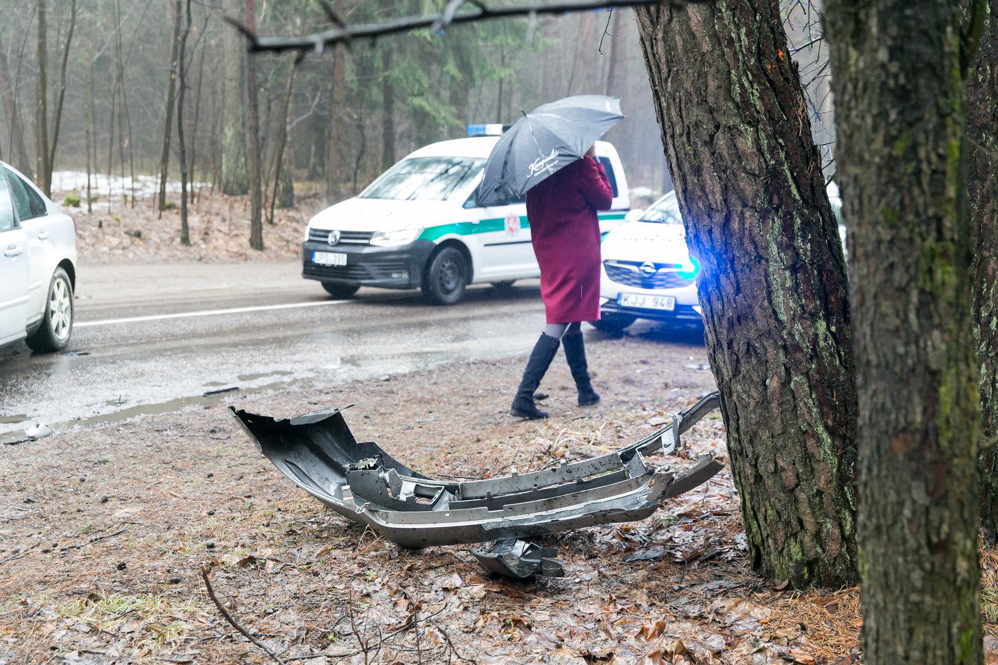 Per kaktomušą Vilniaus pakraštyje nukentėjo mažiausiai dvi moterys.<br> T.Bauro nuotr.