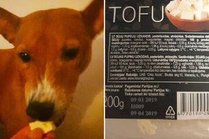 13 dienų pagal veganišką meniu: nuo kai kurių produktų nosį suko net šunys