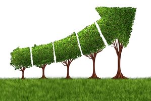 STT pateikė pasiūlymus dėl ekologinio žemės ūkio: yra rizika