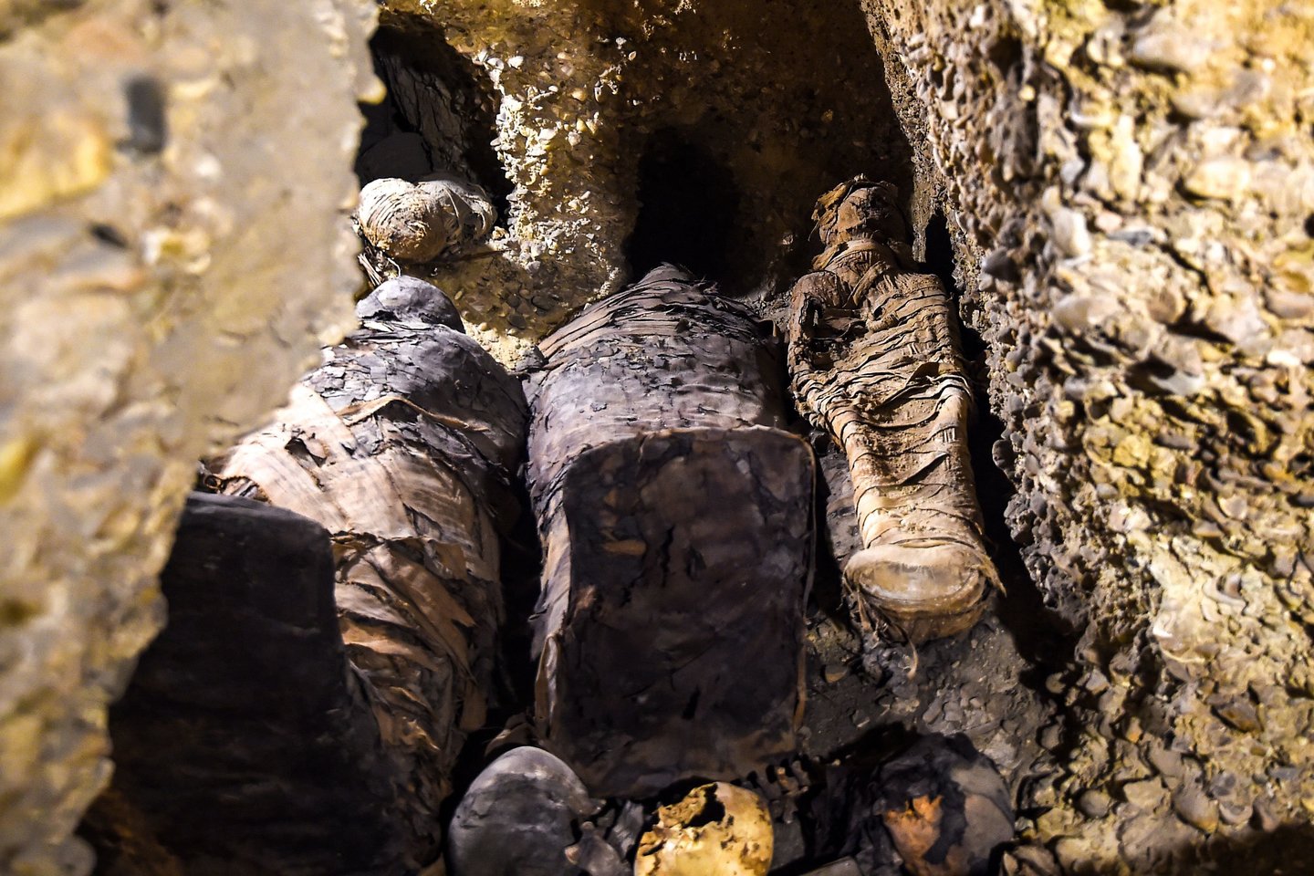 Airijos policija surado 800 metų senumo kryžininko mumijos galvą, kuri buvo pavogta iš Dublino Šv. Maikano bažnyčios kriptos.<br>AFP/Scanpix nuotr.