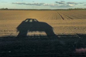 NMA nenori trukdyti ūkininkams: patikras mažins trečdaliu