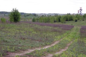 NŽT planas: 12 tūkstančių patikrinimų per metus