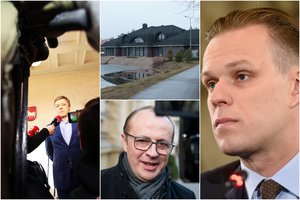 R. Karbauskis – prieš Vijūnėlės „dvaro“ istorijos tyrimą Seime