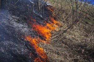 Ugniagesiai įspėja nedeginti pernykštės žolės – gresia baudos