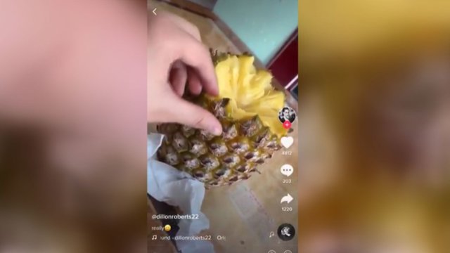Įrašas sukėlė milijonų internautų šėlsmą: parodė nematytą ananaso valgymo būdą