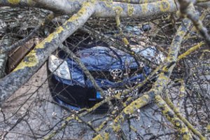 Sinoptikai: iki 11 laipsnių įšilusį orą nušluos vėjas