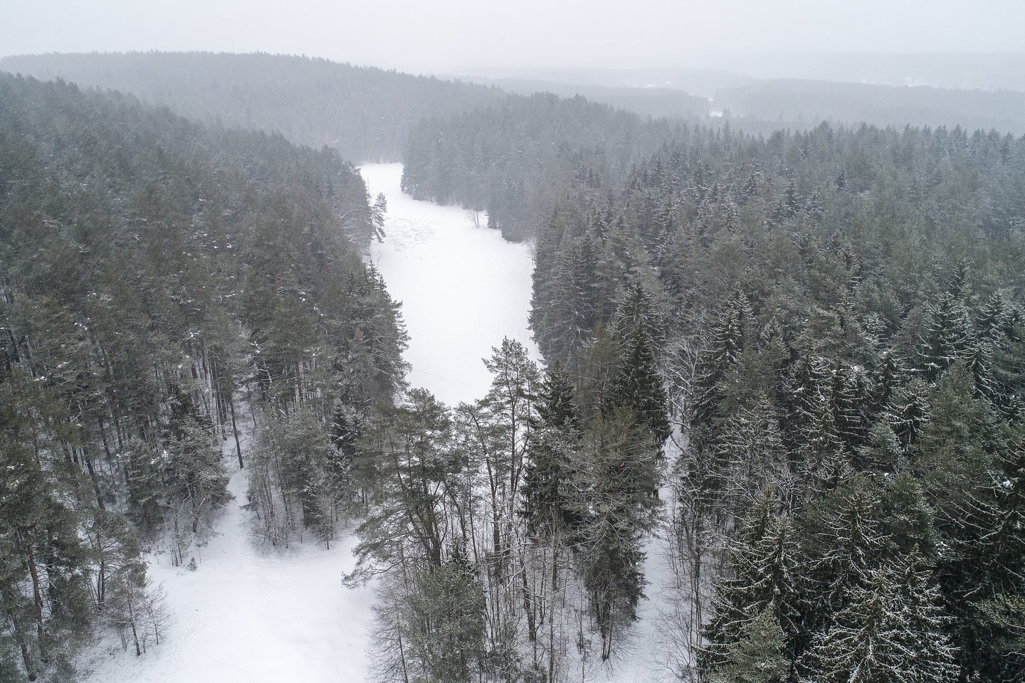 Kovo mėnesį dar gali susidaryti sniego danga.<br>V.Ščiavinsko nuotr.