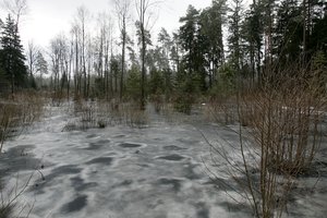 Kauno r. miške tarp šiukšlių pamatė spurdantį leisgyvį šuniuką