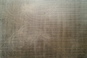 STT: žemės ūkio paskirties žemės įsigijimo tvarkoje trūksta skaidrumo