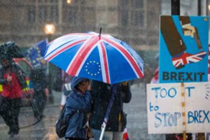 Britų parlamentarų šiandien laukia lemiamas balsavimas dėl „Brexit“