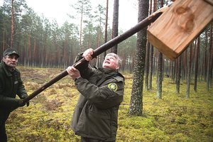 Nepavykus S. Skvernelio priversti ieškoti ministerijai vadovo, ji pabus našlaitė