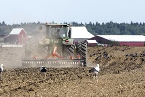 ŽŪM perdirbėjams skirta parama siūlo naudotis ir ūkininkams