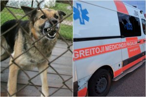 Kaišiadorių r. baimę sėja palaidas šuo – sukandžiojęs mergaitę ir mamą, toliau kelia grėsmę