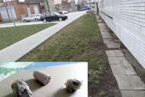 Šiurpus radinys kiemuose: mirtini spąstai šunims – dešrelės su vinimis