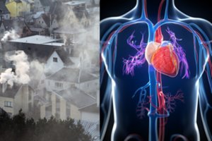 Naujausi duomenys šokiruoja: tai nužudo daugiau žmonių nei rūkymas