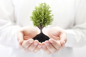 Ekologiškų produktų tvarkybos įmonių skaičius Lietuvoje išaugo iki 286