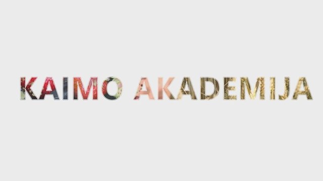 Kaimo akademija 2019-03-03