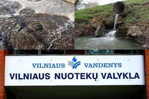 Baudą už išpiltas srutas į Neries upę valdininkai slapsto biurokratijos liūne