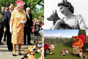 Mylimiausias Elizabeth II šuo tapo animacinio filmo žvaigžde