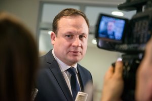 A. Širinskienė: Evaldo Pašilio elgesys turi būti ištirtas