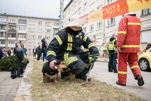 Užfiksavo jautrų ugniagesio poelgį po didelio gaisro: glaudė išsigandusį šunelį