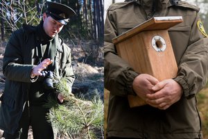 Miškininkas parodė, kaip pasigaminti inkilą: kada geriausias metas juos kelti?