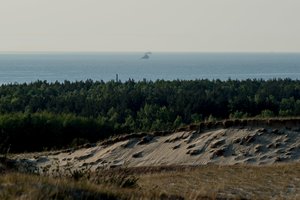 Medkirčiai išsikrausto – Kuršių nerijoje baigiami didžiuliai miško kirtimai