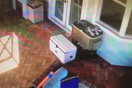 Tėtis pasidalijo nerimą keliančiu įrašu: su šaldikliu žaidęs vaikas patyrė šoką