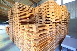 „Entafarma“ planuoja plėtrą, 4 mln. eurų investicijas 