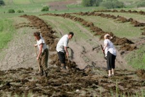 Dalyje Lietuvos jau galima tręšti laukus