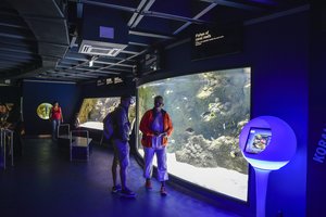 Muziejų lankytojų skaičius Lietuvoje rekordiškai didėja