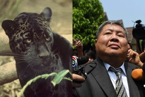 Už brakonieriavimą suimtas statybų magnatas laisvę nusipirko sumokėjęs 11 tūkst. eurų