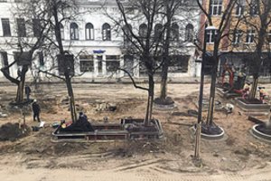 Už sužalotus medžius – ne tik baudos