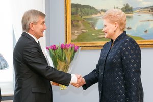 V. Pranckietis mano, kad D. Grybauskaitė savo pasisakymais dalyvauja rinkimuose