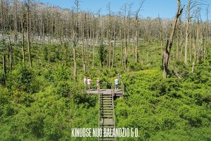 Pripažinimu Lokarne kelionę per pasaulį pradėjęs „Rūgštus miškas“ artėja prie Lietuvos