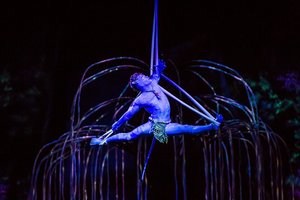 Po pasirodymo Vilniuje „Cirque du Soleil“ šou „Toruk – the First Flight“ atsisveikins su žiūrovais