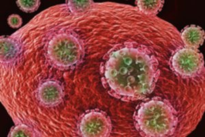 Dėl paslaptingo viruso protrūkio gali būti kaltas žiaurus religinis ritualas