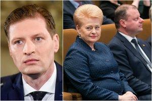 Į laisvą ministro kėdę teikiamas K. Mažeika tikisi nedalyvauti S. Skvernelio ir D. Grybauskaitės konflikte